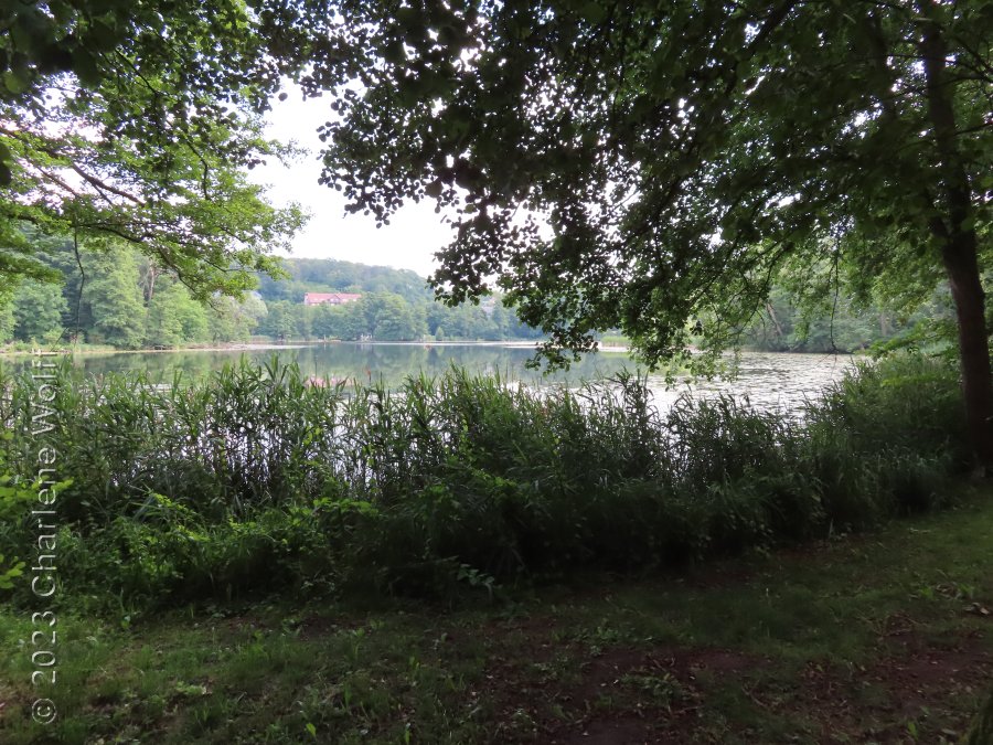 Buckow hat viele Seen